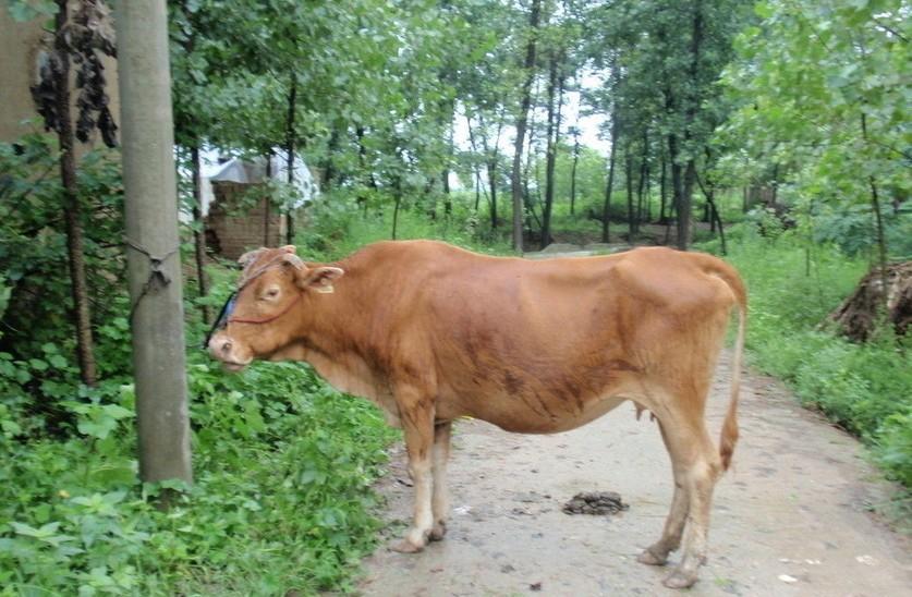 江山最新求一个套医保卡的黄牛是真的吗方法分析(最方便真实的江山求一个套医保卡的黄牛是真的吗还是假的方法)